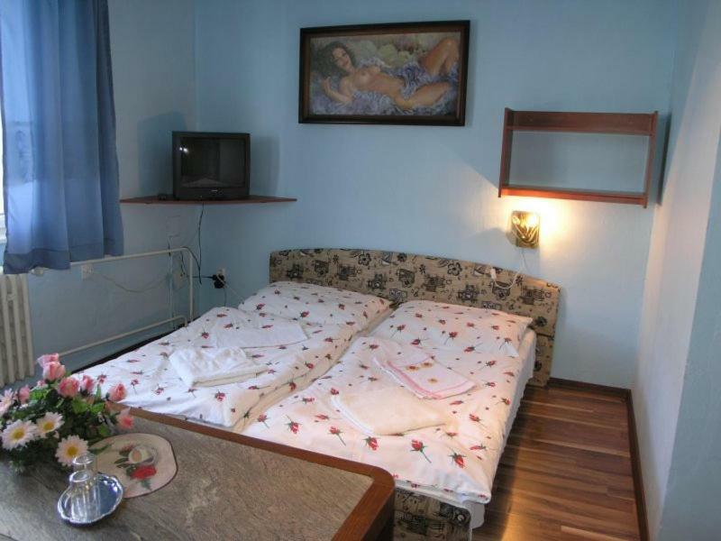 Biela Labut Hotel Michalovce Eksteriør billede